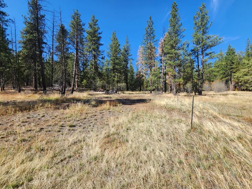 2.35-Acre Residential Land for Sale in Bonanza, OR - $599 Down, $299/mo Owner Financing