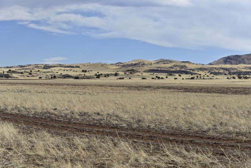 1-Acre Residential Land for Sale in Concho, AZ - $6,500 | Owner Financing