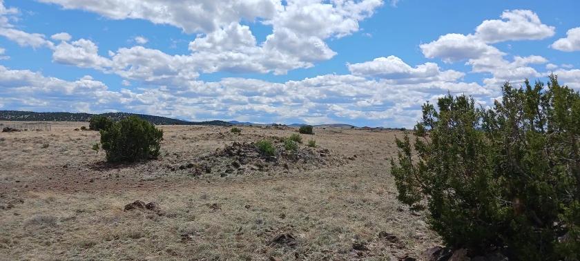 1-Acre Agricultural Land for Sale in Concho, AZ - $165/mo Owner Financing
