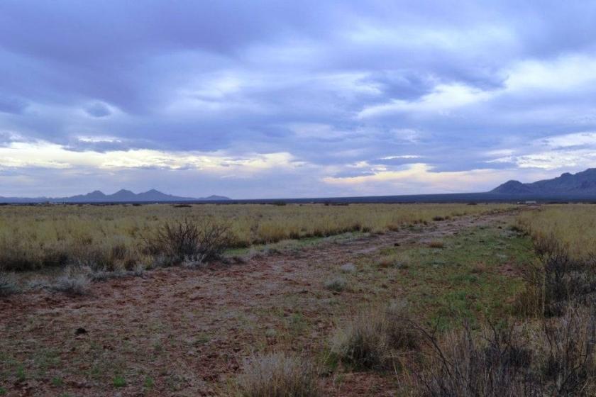 2-Acre Residential Land for Sale in Deming, NM - $121 Down, $75/mo Owner Financing
