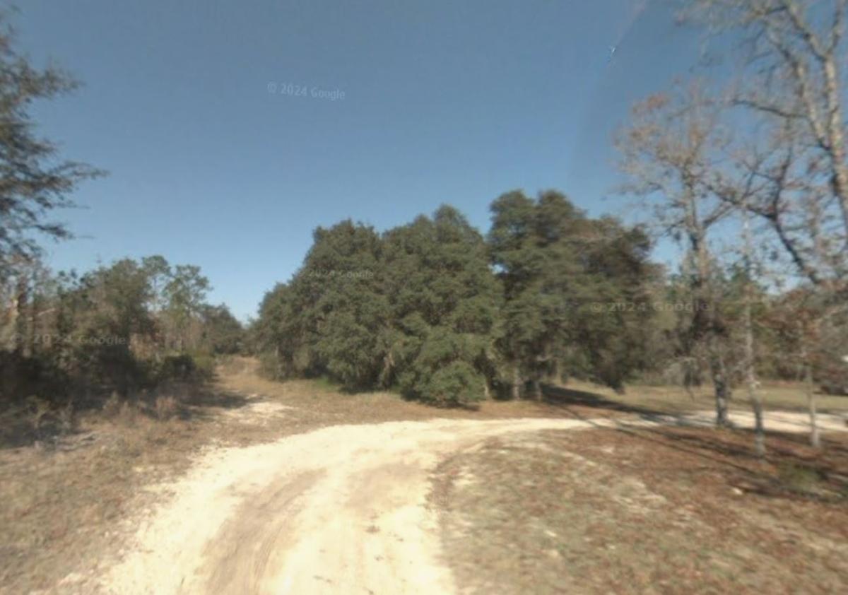 3.84 Acres for Sale in Williston, FL