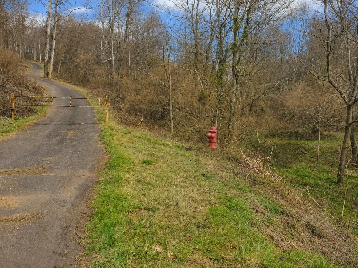 9.24 Acres for Sale in Jonesville, VA