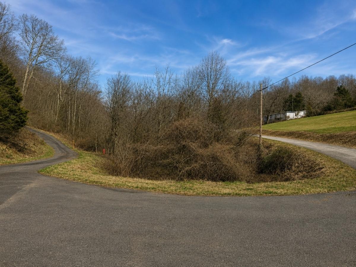 9.24 Acres for Sale in Jonesville, VA