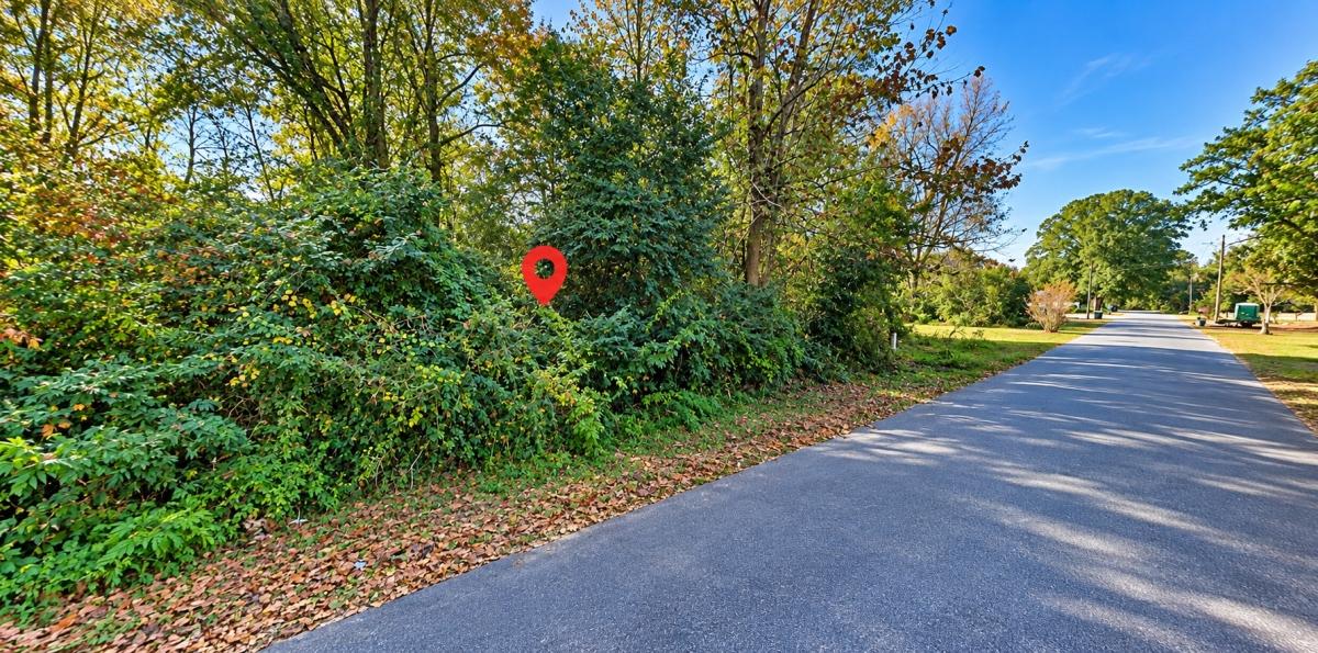 0.33-Acre Residential Land for Sale in Fair Bluff, NC - $9,900 | Owner Financing